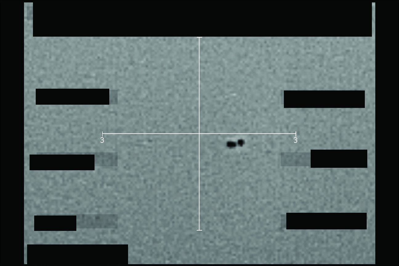 FBI File Imagery: sensor still